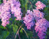 Lilacs - Heavenly Scent #2
