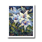 A Few Garden Flowers