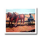 A Day at the Ploughing Matches