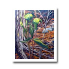 Some Spring Beauties