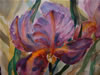 An Iris