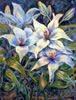 Lilies