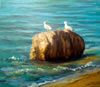 Gulls on Rock