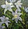 White Lilies #1