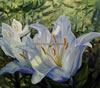 White Lilies #2